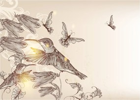 Sklenený obraz - Kolibríky (70x50 cm)