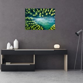 Sklenený obraz - Hmlou zahalený les (70x50 cm)