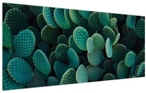 Obraz - Opuncie (120x50 cm)