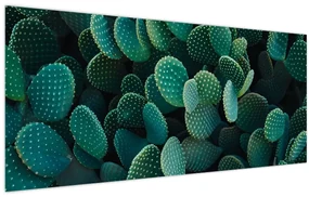 Obraz - Opuncie (120x50 cm)