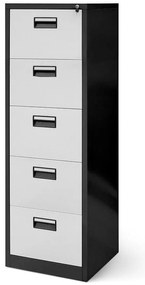 Skriňa Sara V005 kovová antracit/biela