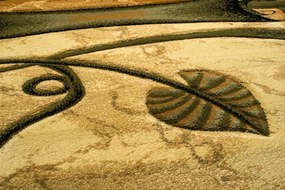 TA Koberec 9106A ZELENÁ ANTOGYA Rozmer: 60x100 cm