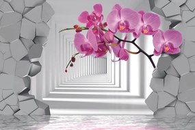 Samolepiaca tapeta futuristická orchidea - 300x200
