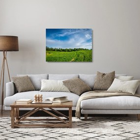 Sklenený obraz lúky (70x50 cm)