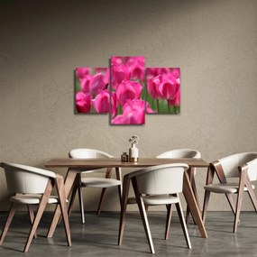 Obraz - Ružové tulipány (90x60 cm)