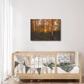 Sklenený obraz jesenného lesa (70x50 cm)