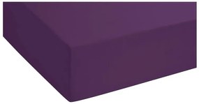 Biberna Napínacia džersejová plachta (fialová, 180 – 200 x 200 cm)  (100227068)