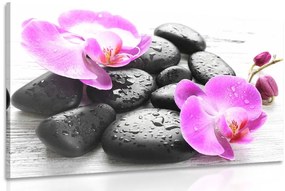 Obraz krásna súhra kameňov a orchidey Varianta: 90x60
