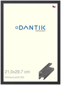 DANTIK rám na obraz 21x29,7 | ALU Černá matná (Sklo Čiré)