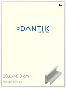 DANTIK rám na obraz 30x40 | ALU Bílá matná (Plexi Čiré)