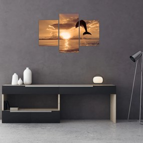 Obraz - Delfín pri západe slnka (90x60 cm)