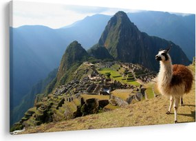 Obrázok - Lama a Machu Picchu (90x60 cm)