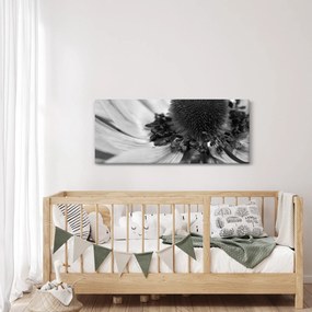Obraz - Kvetina v čiernobielej (120x50 cm)