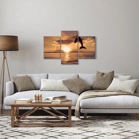 Obraz - Delfín pri západe slnka (90x60 cm)