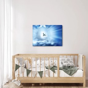 Obraz - Božia holubica (70x50 cm)