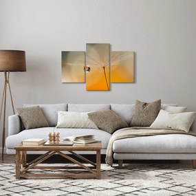 Obraz - Makro kvetu (90x60 cm)