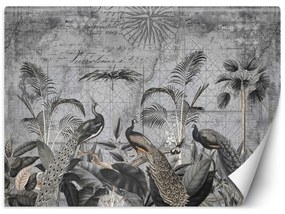Gario Fototapeta Pávy v tmavosivých trópoch - Andrea Haase Materiál: Vliesová, Rozmery: 200 x 140 cm