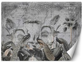 Gario Fototapeta Pávy v tmavosivých trópoch - Andrea Haase Materiál: Vliesová, Rozmery: 350 x 245 cm