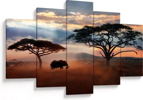 Obraz - Národný park Serengeti, Tanzánia, Afrika (150x105 cm)