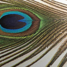Obraz pávieho peria (150x105 cm)