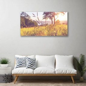 Obraz Canvas Lúka tráva strom príroda 140x70 cm