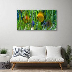 Obraz Canvas Ryba riasy príroda 125x50 cm