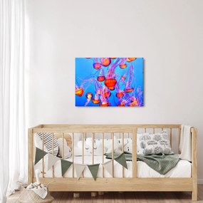 Obraz medúz v mori (70x50 cm)