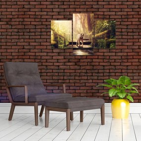 Obraz tigra (90x60 cm)