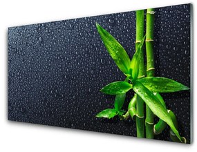 Sklenený obklad Do kuchyne Bambus stonka rastlina príroda 125x50 cm