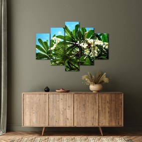 Obraz - Plumeria (150x105 cm)