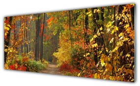 Obraz plexi Les príroda jeseň 125x50 cm