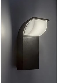 Rabalux 7166 - LED Vonkajšie nástenné svietidlo HONGKONG LED/9W/230V IP65