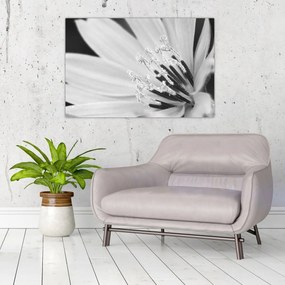 Obraz - Čiernobiely kvet (90x60 cm)