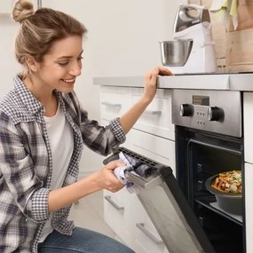 TESLA Electronics SlowCook - Pomalý hrniec 6,5 l 270W/230V