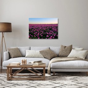Sklenený obraz - Lúka fialových tulipánov (70x50 cm)