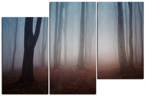 Obraz na plátne - Hmla v lese 1182D (120x80 cm)
