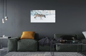 Sklenený obraz Vlk v zime lese 140x70 cm