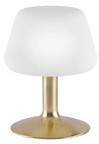 Paul Neuhaus Paul Neuhaus 4078-60 - LED Stmievateľná stolná lampa TILL 1xG9/3W/230V mosadz W2379