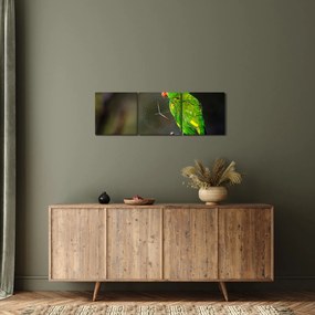 Obraz papagája na vetve (s hodinami) (90x30 cm)