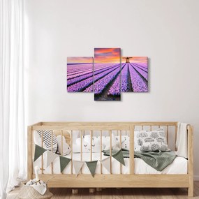 Obraz - kvetinová farma (90x60 cm)