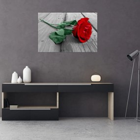 Obraz - Červená ruža so zelenou stonkou (90x60 cm)