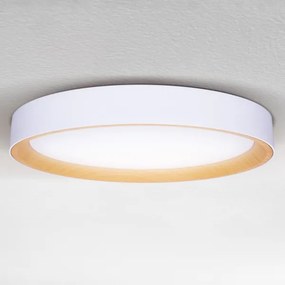 Brilagi - stmievateľné LED stropné svietidlo LARIOS LED/72W/230V biela pr. 59 cm + diaľkové ovládanie