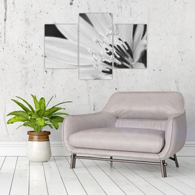 Obraz - Čiernobiely kvet (90x60 cm)