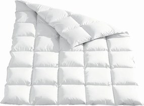 XXXLutz ZIMNÁ PRIKRÝVKA, 220/240 cm, kačacie páperie, kačacie perie Sleeptex - Prikrývky & vankúše - 005032004005