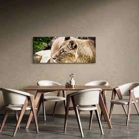 Obraz levice (120x50 cm)