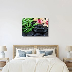 Sklenený obraz - Kamene a orchidey (70x50 cm)