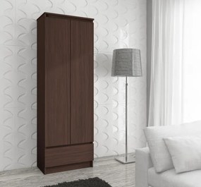 Uzavretý regál R60 2D 1SZ CLP wenge