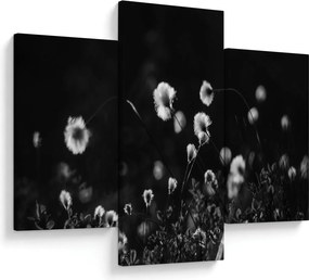 Obraz - Lúka s cottongrass N⁰1 (90x60 cm)