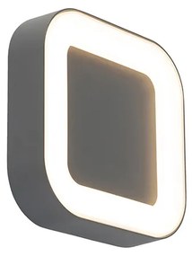 Nástenná a stropná lampa sivá štvorcová IP54 - Ariel