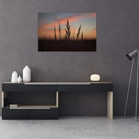 Obraz - Silueta rastliny (90x60 cm)